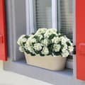 Pikkukuva 4 / 7: OBOSOE 6-pakkaus tekokukat/pelargoniat – UV-kestävät kukat ulkokäyttöön