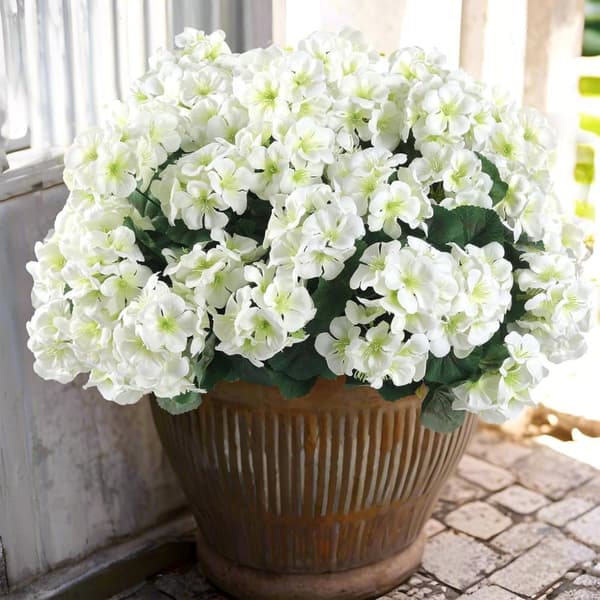 OBOSOE 6-pakkaus tekokukat/pelargoniat – UV-kestävät kukat ulkokäyttöön Valkoinen