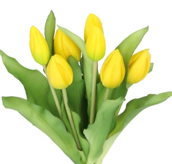 TULIPANERBUKET MED TULIPANER GUMMIBEDRÆKKET SOM LIVET 7 STK.