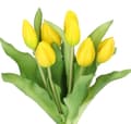 Miniatyrbillede 3 af 9: TULIPANERBUKET MED TULIPANER GUMMIBEDRÆKKET SOM LIVET 7 STK.