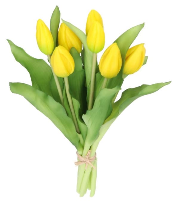 TULIPANERBUKET MED TULIPANER GUMMIBEDRÆKKET SOM LIVET 7 STK.