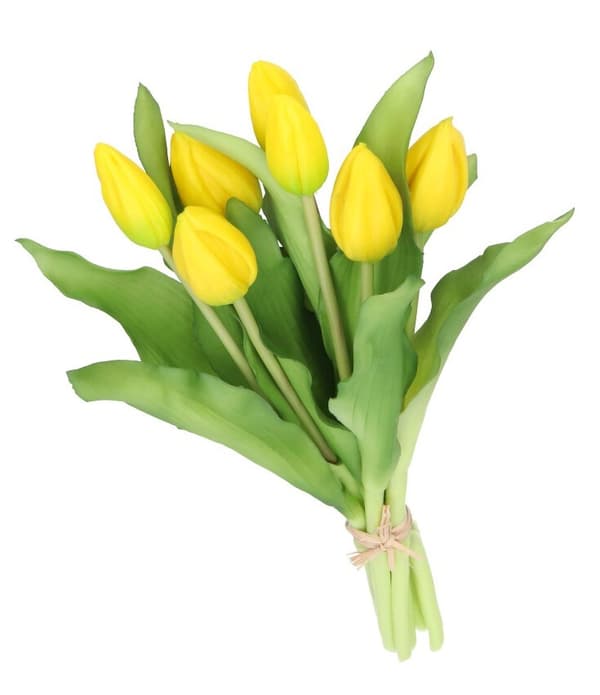 TULIPANERBUKET MED TULIPANER GUMMIBEDRÆKKET SOM LIVET 7 STK.