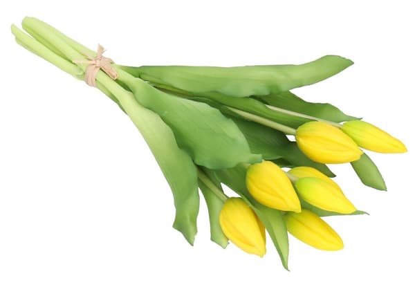 TULIPANERBUKET MED TULIPANER GUMMIBEDRÆKKET SOM LIVET 7 STK.
