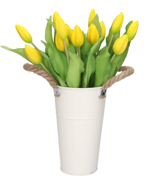 TULIPANERBUKET MED TULIPANER GUMMIBEDRÆKKET SOM LIVET 7 STK.