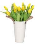 Miniatyrbillede 8 af 9: TULIPANERBUKET MED TULIPANER GUMMIBEDRÆKKET SOM LIVET 7 STK.