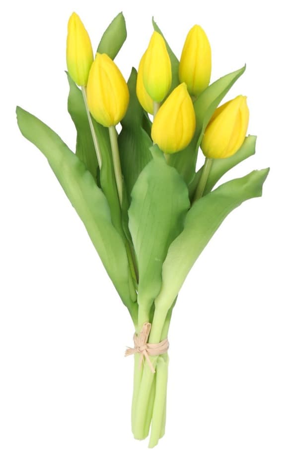 TULIPANERBUKET MED TULIPANER GUMMIBEDRÆKKET SOM LIVET 7 STK.