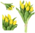 Miniatyrbillede 1 af 9: TULIPANERBUKET MED TULIPANER GUMMIBEDRÆKKET SOM LIVET 7 STK.
