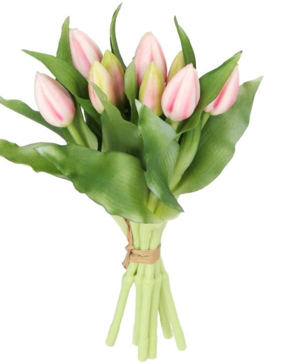 TULPPAANIKIMPU TULPPAANEJA KUMIPÄÄLLYSTEINEN KUIN ELÄMÄ 7 KPL.