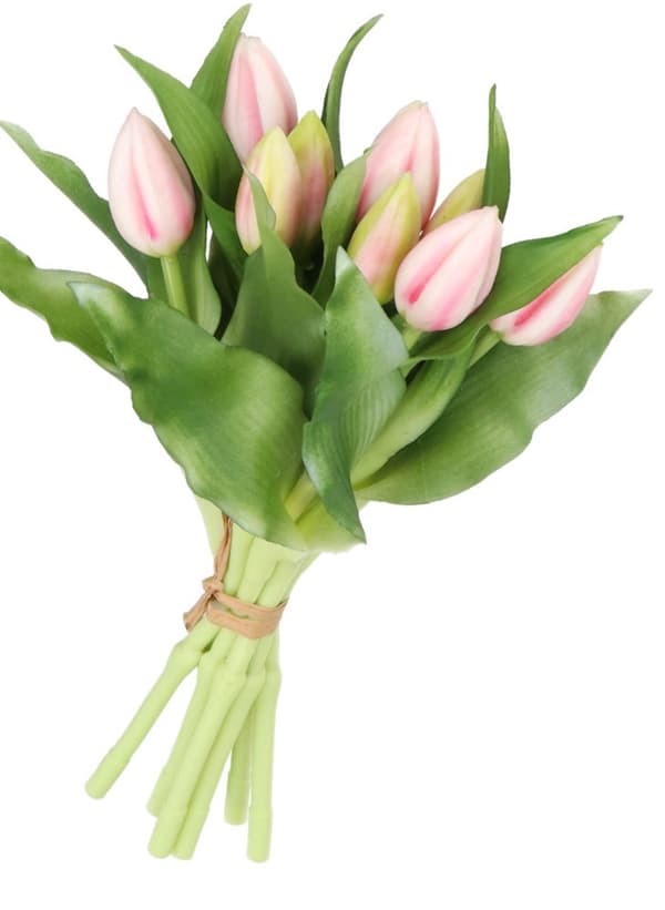 TULPPAANIKIMPU TULPPAANEJA KUMIPÄÄLLYSTEINEN KUIN ELÄMÄ 7 KPL.
