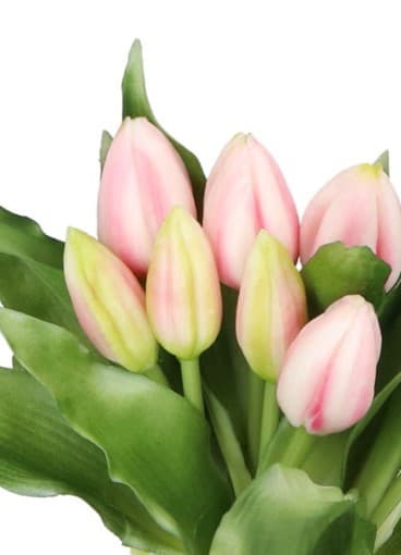 TULPPAANIKIMPU TULPPAANEJA KUMIPÄÄLLYSTEINEN KUIN ELÄMÄ 7 KPL.
