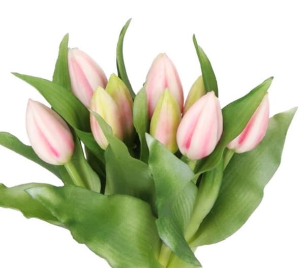 TULPPAANIKIMPU TULPPAANEJA KUMIPÄÄLLYSTEINEN KUIN ELÄMÄ 7 KPL.