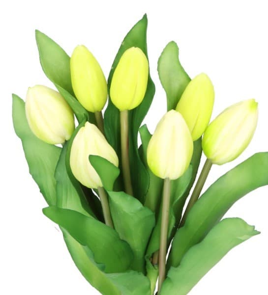 TULIPANERBUKET MED TULIPANER GUMMIBEDRÆKKET SOM LIVET 7 STK.