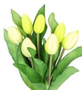 Miniatyrbillede 3 af 9: TULIPANERBUKET MED TULIPANER GUMMIBEDRÆKKET SOM LIVET 7 STK.