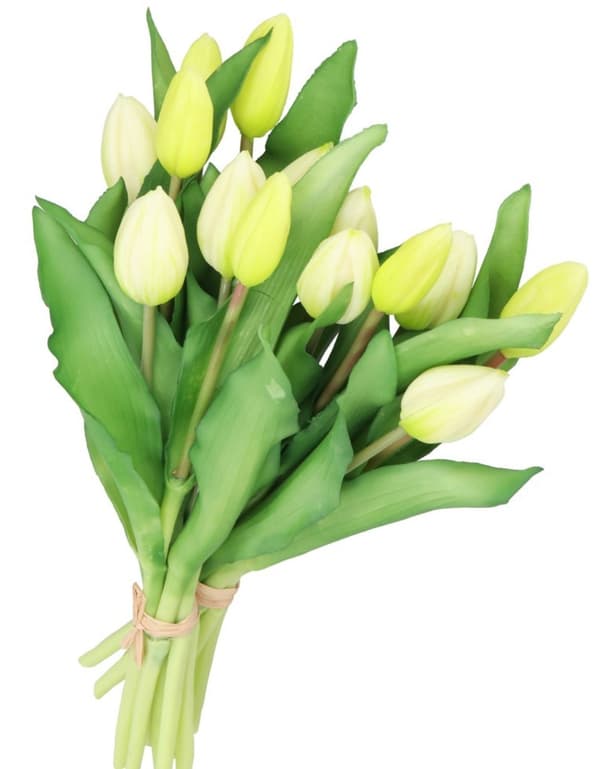 TULIPANERBUKET MED TULIPANER GUMMIBEDRÆKKET SOM LIVET 7 STK.