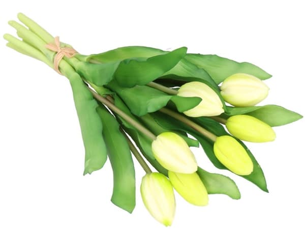 TULIPANERBUKET MED TULIPANER GUMMIBEDRÆKKET SOM LIVET 7 STK.