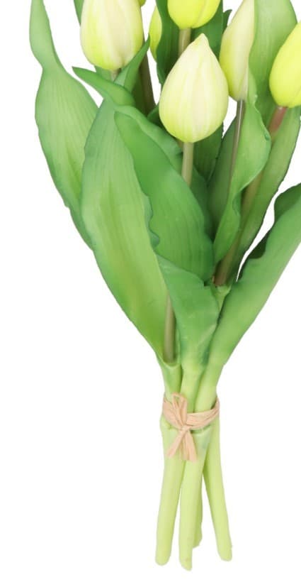 TULIPANERBUKET MED TULIPANER GUMMIBEDRÆKKET SOM LIVET 7 STK.