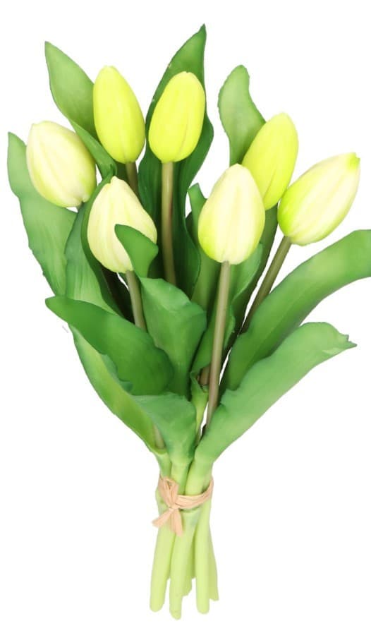 TULIPANERBUKET MED TULIPANER GUMMIBEDRÆKKET SOM LIVET 7 STK.