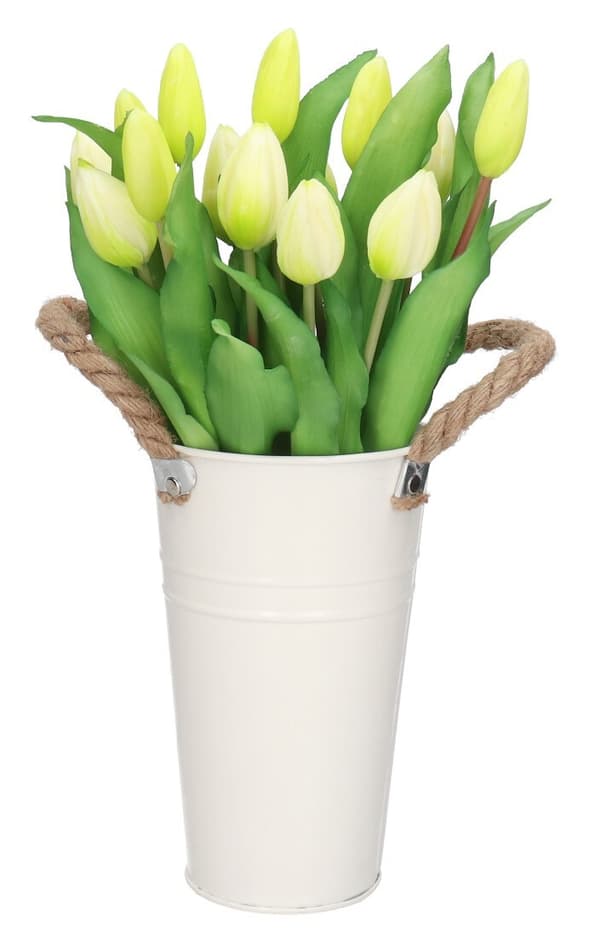 TULIPANERBUKET MED TULIPANER GUMMIBEDRÆKKET SOM LIVET 7 STK.