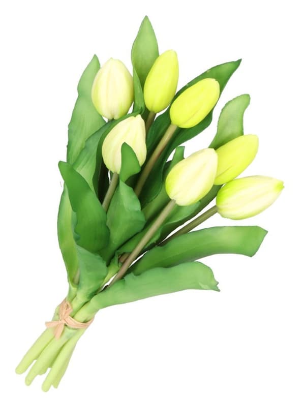 TULIPANERBUKET MED TULIPANER GUMMIBEDRÆKKET SOM LIVET 7 STK.