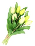 Miniatyrbillede 9 af 9: TULIPANERBUKET MED TULIPANER GUMMIBEDRÆKKET SOM LIVET 7 STK.