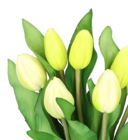 TULIPANERBUKET MED TULIPANER GUMMIBEDRÆKKET SOM LIVET 7 STK.