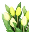 Miniatyrbillede 2 af 9: TULIPANERBUKET MED TULIPANER GUMMIBEDRÆKKET SOM LIVET 7 STK.