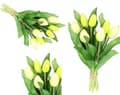 Miniatyrbillede 1 af 9: TULIPANERBUKET MED TULIPANER GUMMIBEDRÆKKET SOM LIVET 7 STK.