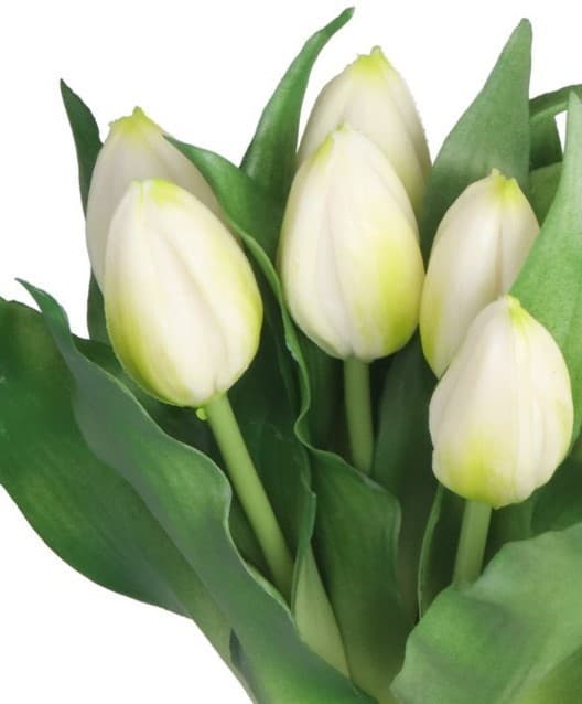 TULIPANERBUKET MED TULIPANER GUMMIBEDRÆKKET SOM LIVET 7 STK.