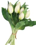 Miniatyrbillede 4 af 7: TULIPANERBUKET MED TULIPANER GUMMIBEDRÆKKET SOM LIVET 7 STK.