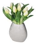 Miniatyrbillede 6 af 7: TULIPANERBUKET MED TULIPANER GUMMIBEDRÆKKET SOM LIVET 7 STK.