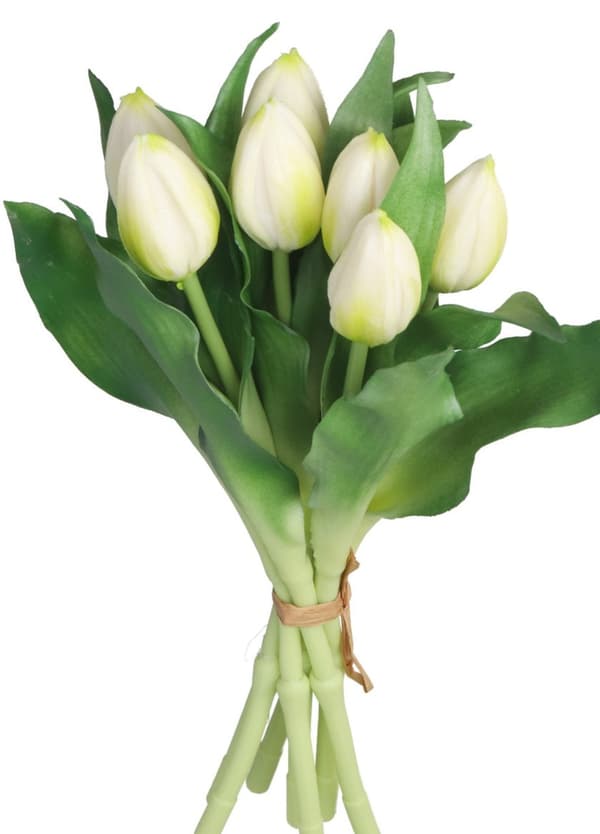 TULIPANERBUKET MED TULIPANER GUMMIBEDRÆKKET SOM LIVET 7 STK.