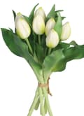 Miniatyrbillede 7 af 7: TULIPANERBUKET MED TULIPANER GUMMIBEDRÆKKET SOM LIVET 7 STK.
