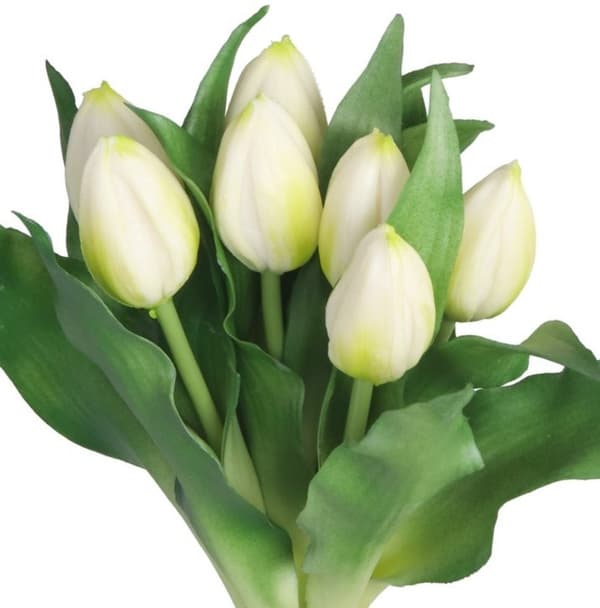 TULIPANERBUKET MED TULIPANER GUMMIBEDRÆKKET SOM LIVET 7 STK.