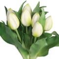 Miniatyrbillede 2 af 7: TULIPANERBUKET MED TULIPANER GUMMIBEDRÆKKET SOM LIVET 7 STK.