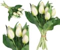 Miniatyrbillede 1 af 7: TULIPANERBUKET MED TULIPANER GUMMIBEDRÆKKET SOM LIVET 7 STK.