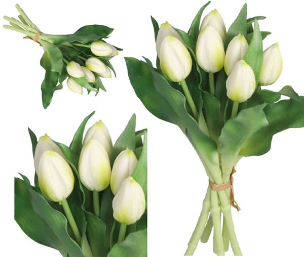 TULPPAANIKIMPU TULPPAANEJA KUMIPÄÄLLYSTEINEN KUIN ELÄMÄ 7 KPL.