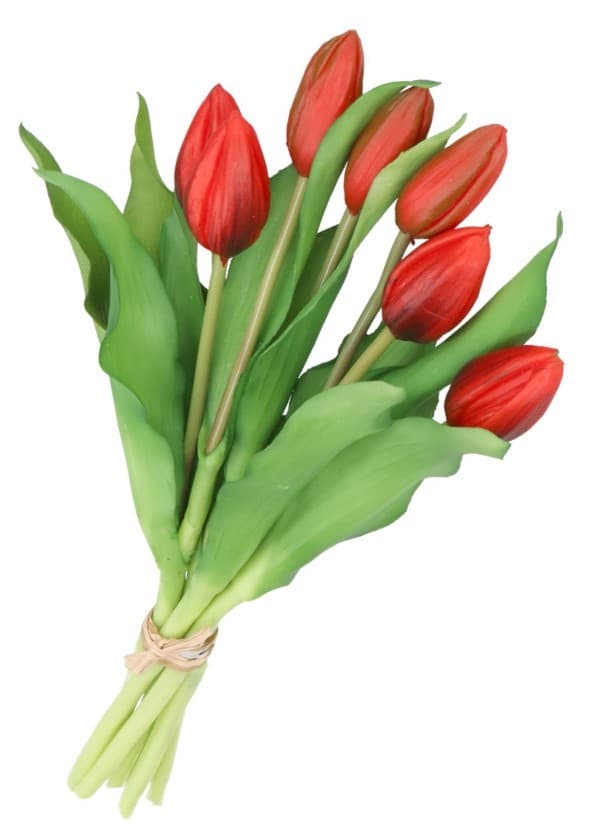 TULPPAANIKIMPU TULPPAANEJA KUMIPÄÄLLYSTEINEN KUIN ELÄMÄ 7 KPL.