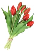 Pikkukuva 3 / 7: TULPPAANIKIMPU TULPPAANEJA KUMIPÄÄLLYSTEINEN KUIN ELÄMÄ 7 KPL.