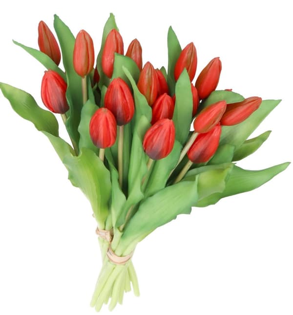 TULPPAANIKIMPU TULPPAANEJA KUMIPÄÄLLYSTEINEN KUIN ELÄMÄ 7 KPL.