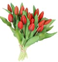 Pikkukuva 4 / 7: TULPPAANIKIMPU TULPPAANEJA KUMIPÄÄLLYSTEINEN KUIN ELÄMÄ 7 KPL.