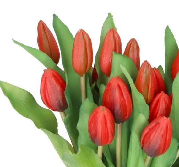 TULPPAANIKIMPU TULPPAANEJA KUMIPÄÄLLYSTEINEN KUIN ELÄMÄ 7 KPL.