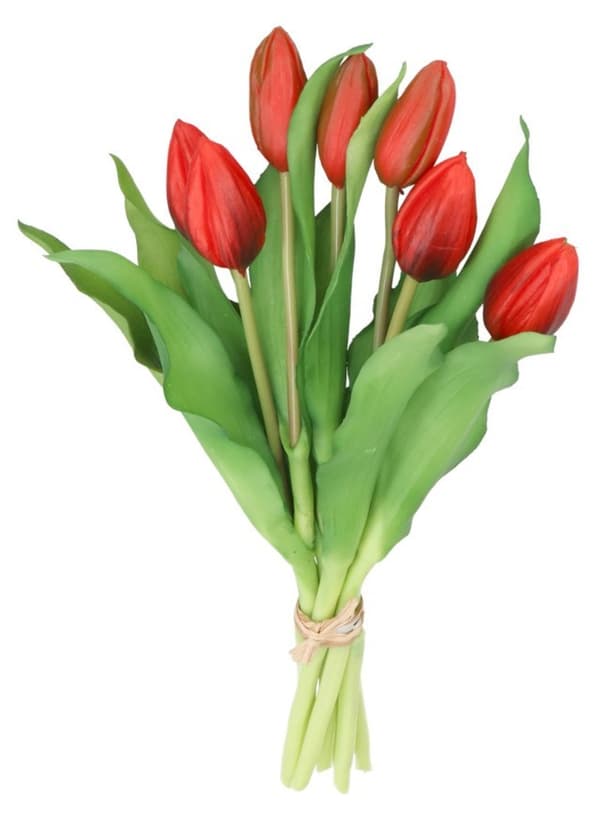TULPPAANIKIMPU TULPPAANEJA KUMIPÄÄLLYSTEINEN KUIN ELÄMÄ 7 KPL.