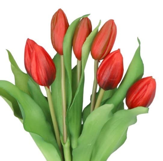 TULPPAANIKIMPU TULPPAANEJA KUMIPÄÄLLYSTEINEN KUIN ELÄMÄ 7 KPL.