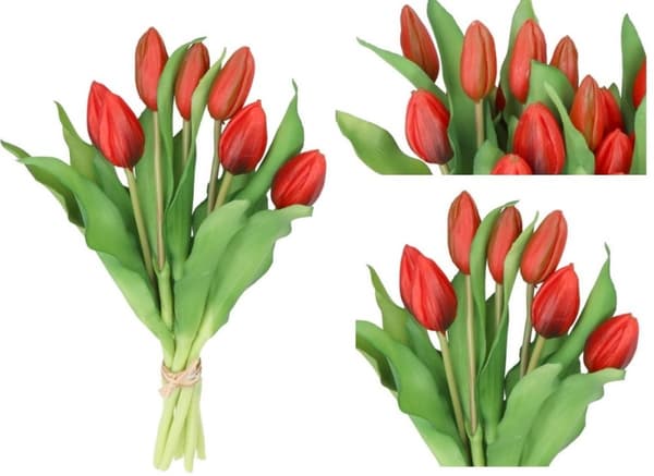 TULPPAANIKIMPU TULPPAANEJA KUMIPÄÄLLYSTEINEN KUIN ELÄMÄ 7 KPL.