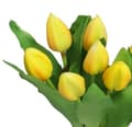 Miniatyrbillede 5 af 6: TULIPANERBUKET MED TULIPANER GUMMIBEDRÆKKET SOM LIVET 7 STK.
