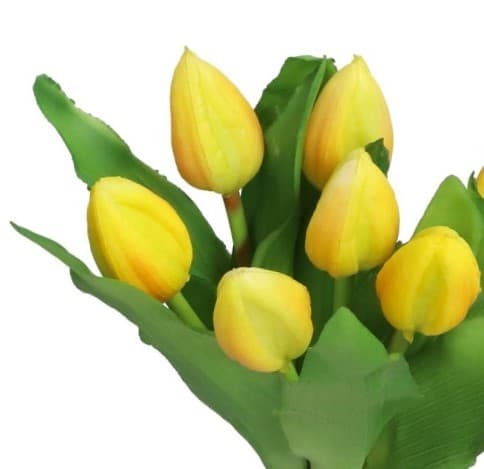 TULIPANERBUKET MED TULIPANER GUMMIBEDRÆKKET SOM LIVET 7 STK.