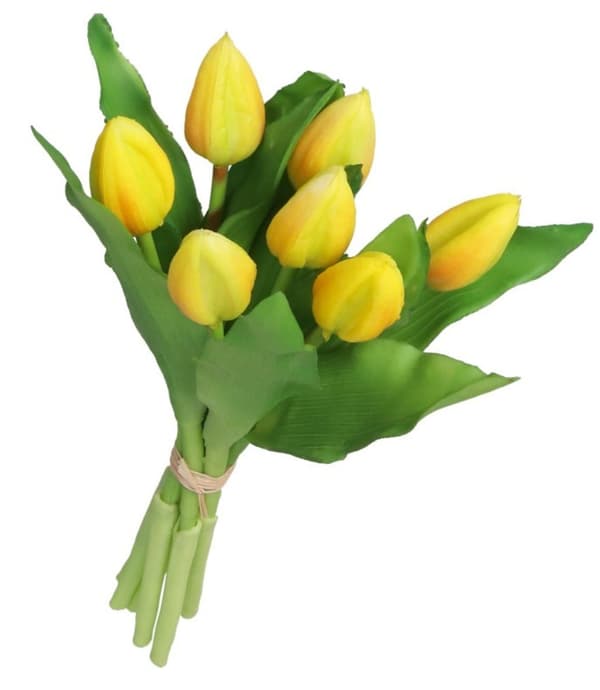 TULIPANERBUKET MED TULIPANER GUMMIBEDRÆKKET SOM LIVET 7 STK.