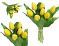 Miniatyrbillede 1 af 6: TULIPANERBUKET MED TULIPANER GUMMIBEDRÆKKET SOM LIVET 7 STK.