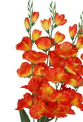 Miniatyrbild 4 av 4: KONSTGJORD BLOMMABUKETT TJOCK STOR GLADIOLIUS GLADIOLI 70CM
