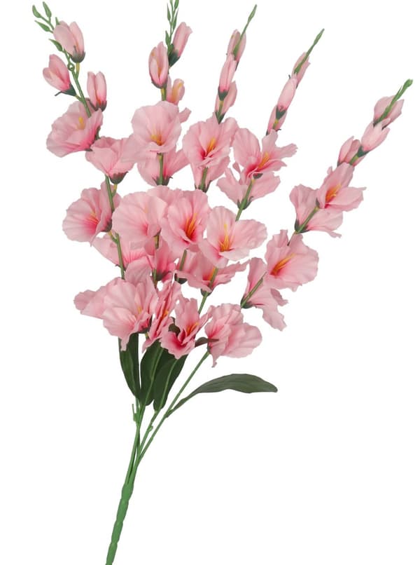 TEKOKUKKIKIMPPU PAKSU ISO GLADIOLIUS GLADIOLI 70CM